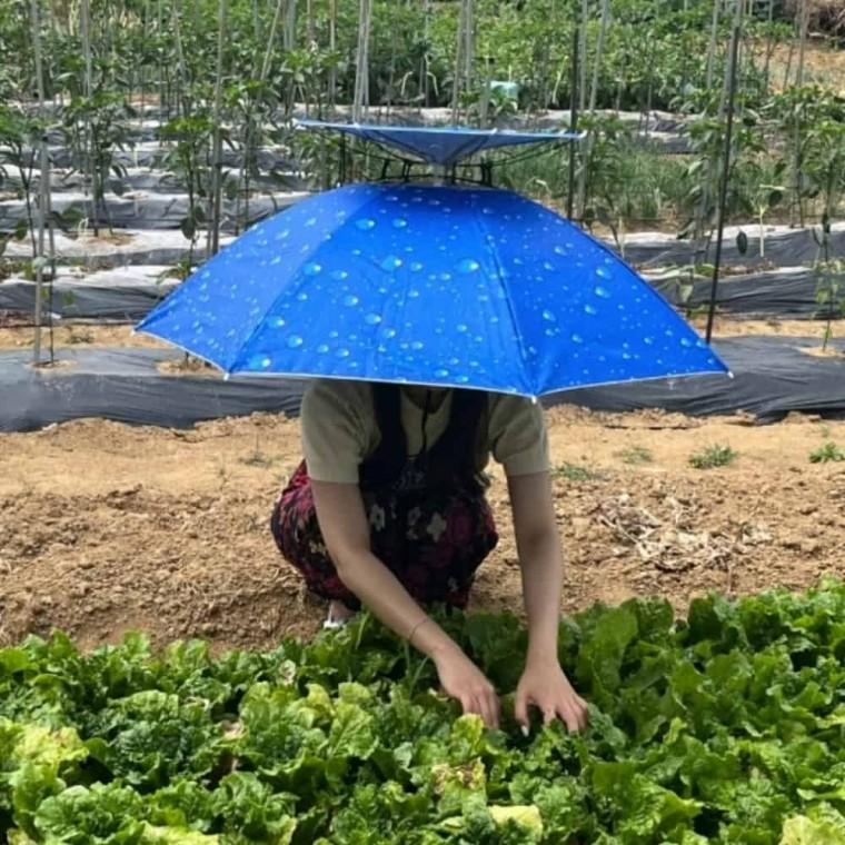 2단 우산 모자 모자그늘막 작은우산