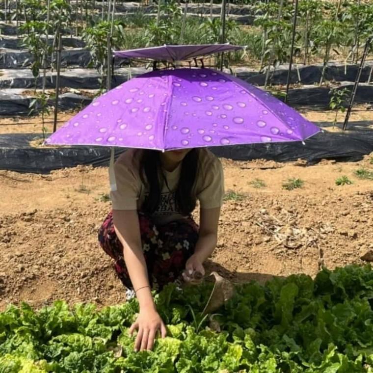 2단 우산 모자 모자우산 파라솔모자