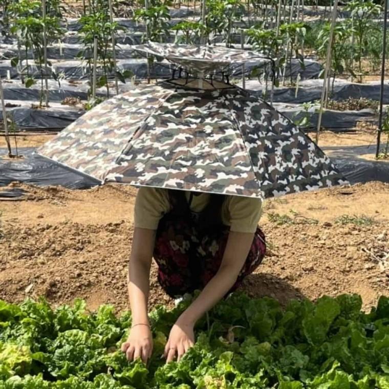 2단 우산 모자 파라솔우산 모자파라솔