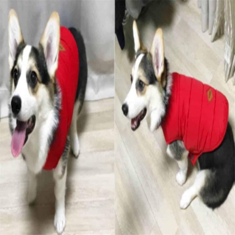레드 애견 패딩조끼 강아지겨울조끼 강아지옷 애견의류 고양이조끼
