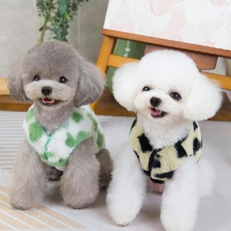 강아지옷 2컬러 모던 귀여운 하트 곰돌이 하네스 기모조끼