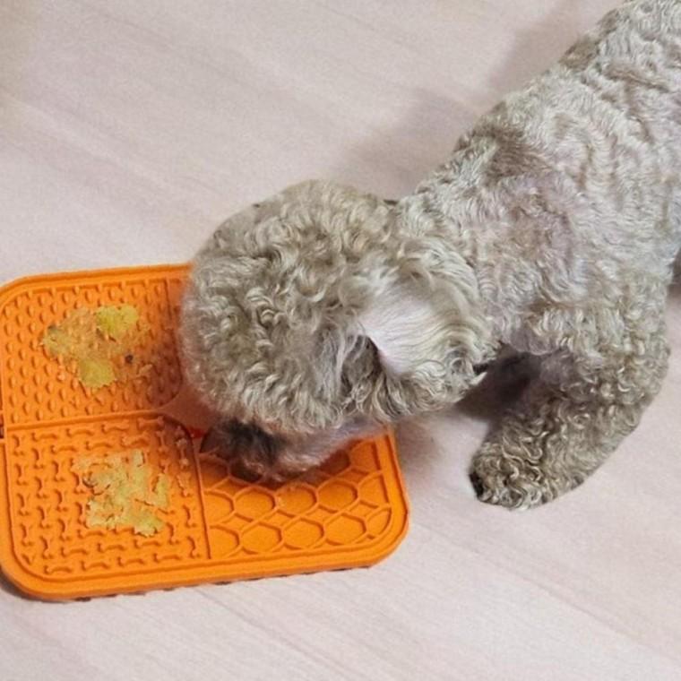 강아지 고양이 깔끔 슬로우식기 리키매트
