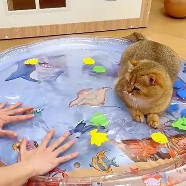 고양이 오감 안심 플레이 워터 매트 65cm 1P 물고기 사냥
