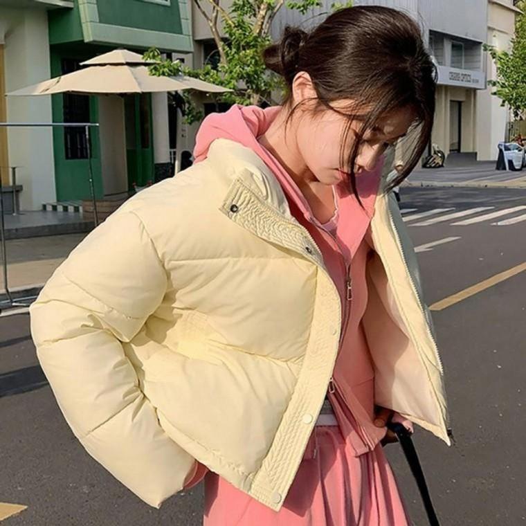 여성 깔끔한 디자인 베이직 짧은 크롭 스타일 하이넥 패딩 점퍼 패딩 이너 경량 여성 겨울