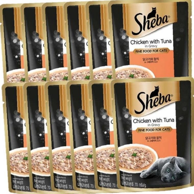 고양이 습식 클래식 참치 닭고기 70g 12P 주식 수납파우치