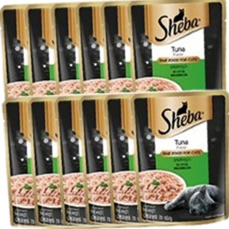 습식 고양이 리뉴얼 참치 70g 12P 주식 파우치 영양