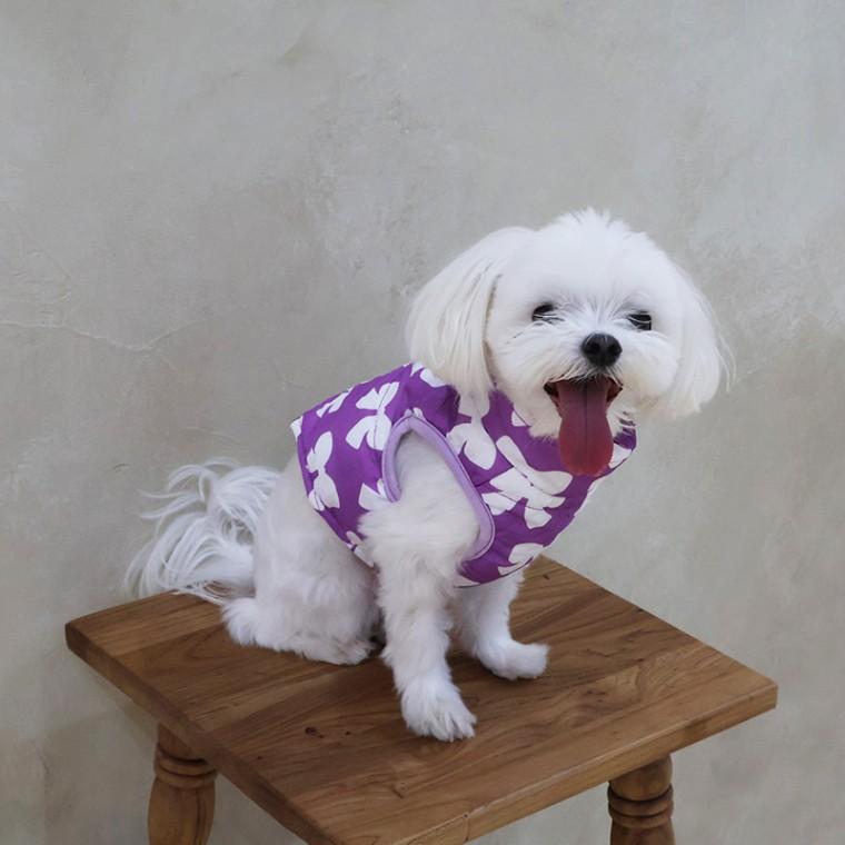 리빙 애견용품 강아지옷 리본 하네스 패딩조끼 BND-W44