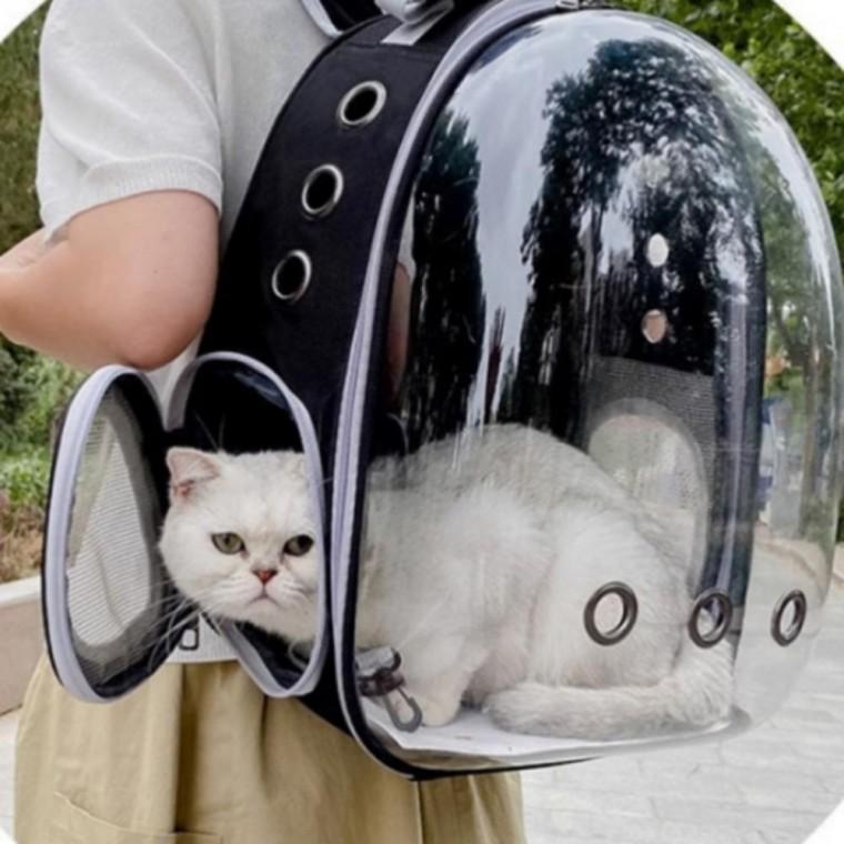 투명 가방 캐리어 애견 이동장 백팩 강아지 고양이