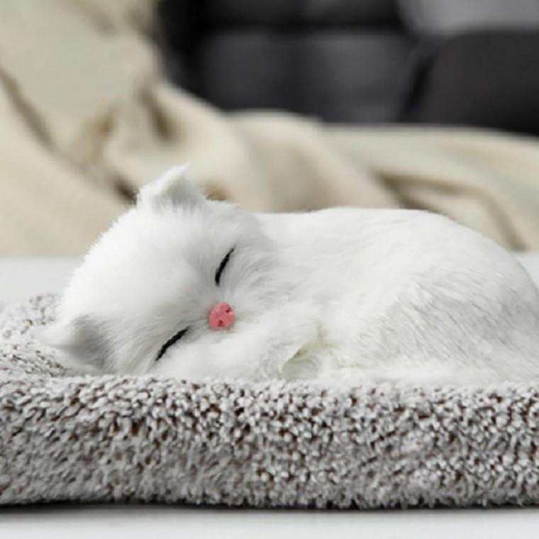 흰색 고양이 소형 차량용 리얼 펫 제습 인형탈취제