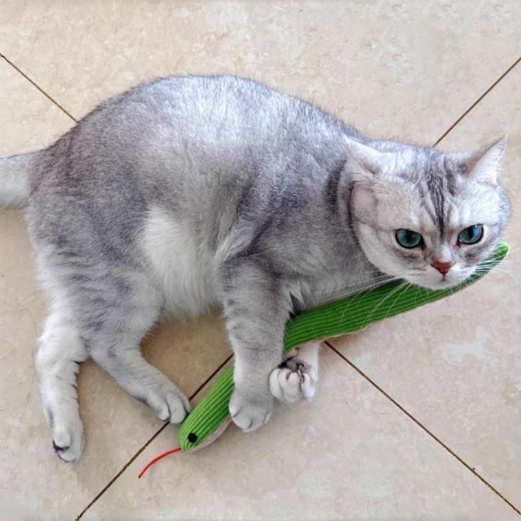 고양이 강아지 비닐 뱀 장난감 인형 쿠션 놀이 반려동물 애완동물 애완견 강아지 용품 인형