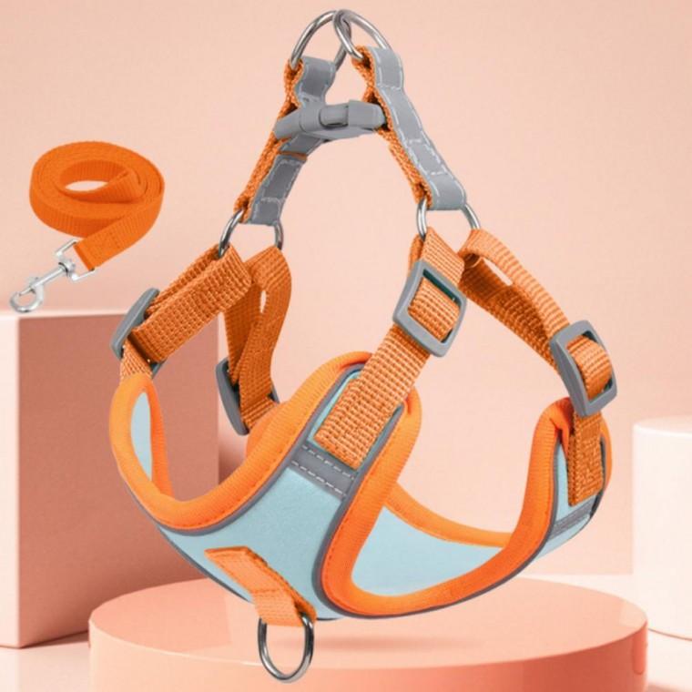 PA 강아지 애견용품 하네스 가슴줄 목줄 세트 반려견 리드줄 외출용 산책용품