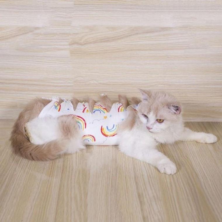 리본 고양이 무지개 중성화복 강아지 수술복