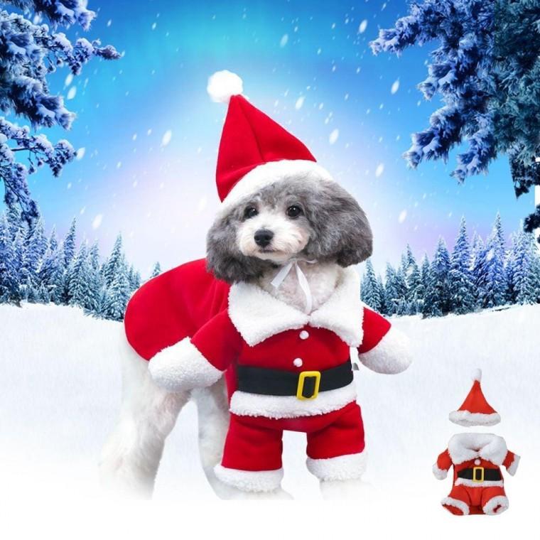 강아지 고양이 크리스마스 산타 애견 코스튬