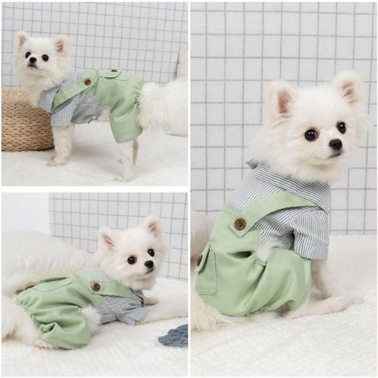 그린 강아지멜빵 스트라이프 올인원 애견의류