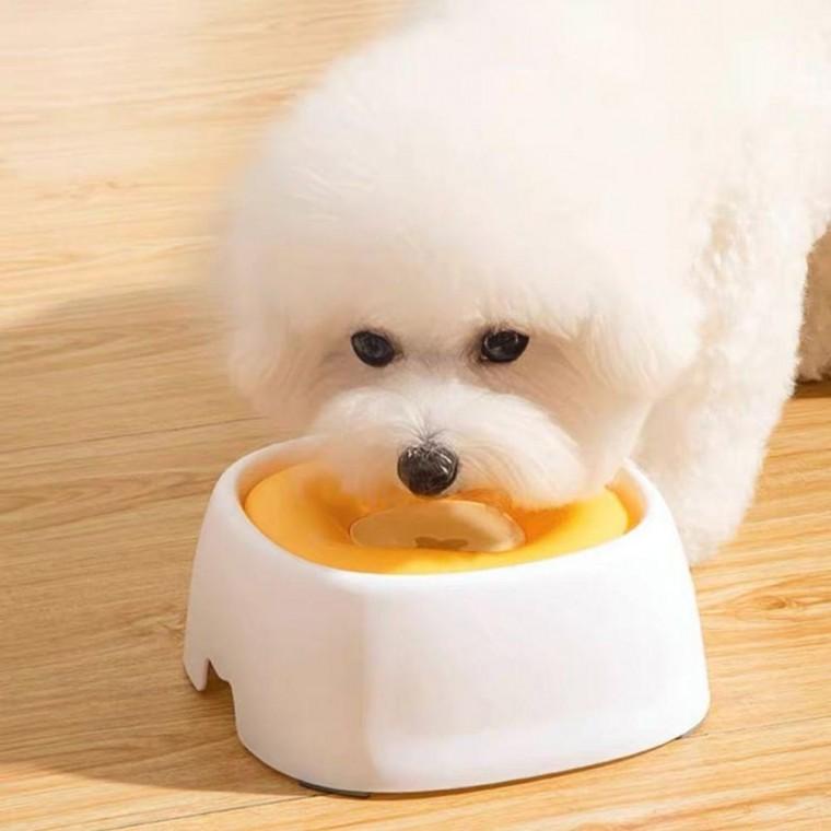 고양이 물그릇 반려동물 강아지 식기 급수기