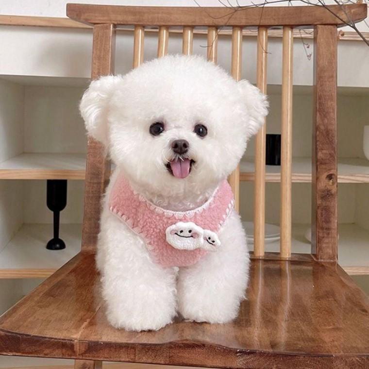 2컬러 구름핀 포인트 강아지 반려견 뽀글 플리스조끼