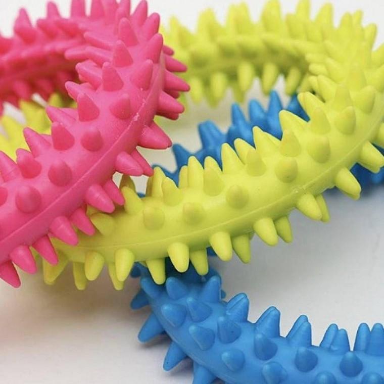 ToB 강아지 터그놀이 10개