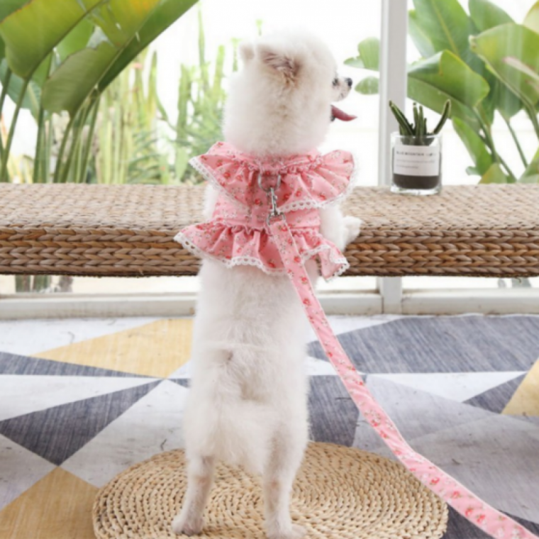 플라워 레이스 강아지 고양이 하네스