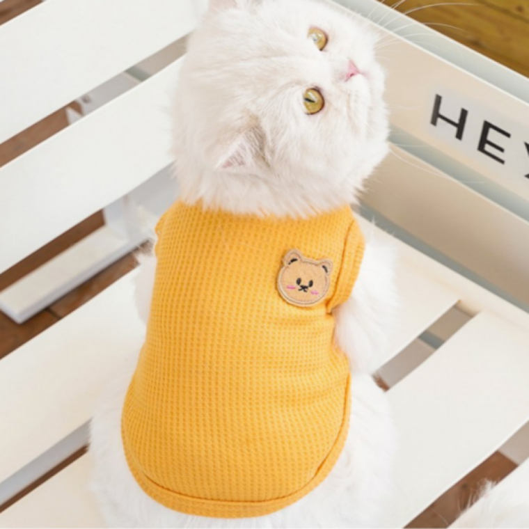 와플면 강아지 고양이 곰들이 베스트