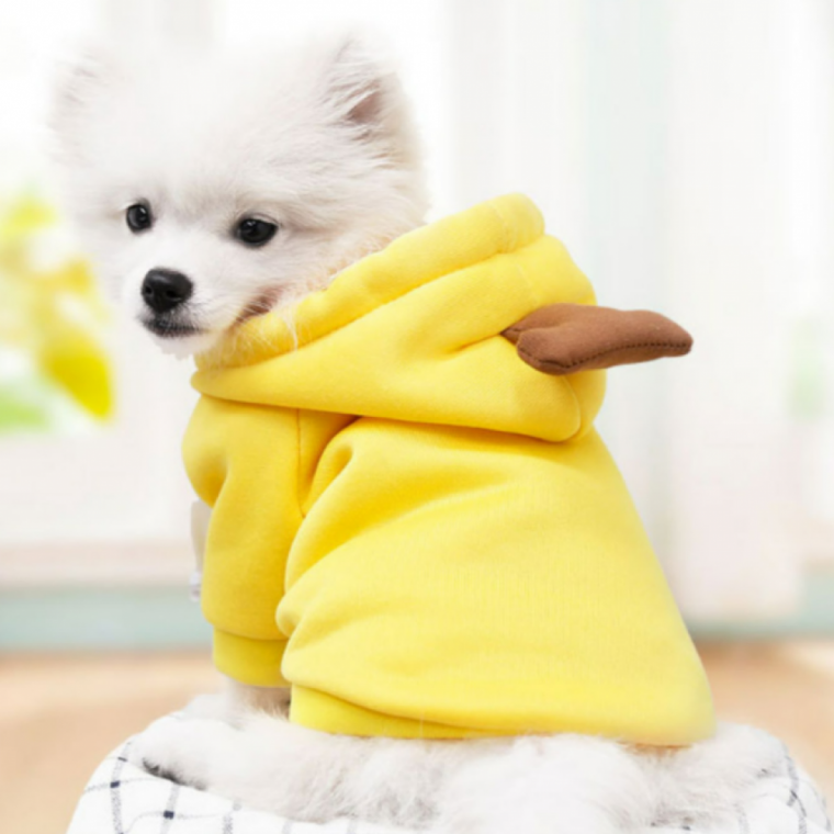 기모 강아지 고양이 반려동물 과일옷