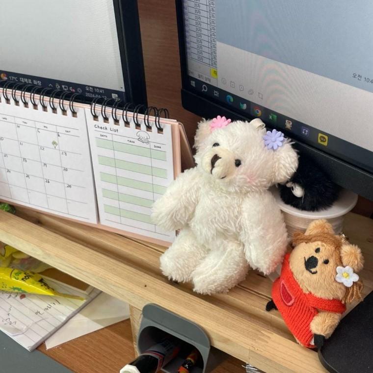 곰돌이 인형 키링 화이트 곰키링 인형키링 가방키링 곰돌이키링 곰인형키링