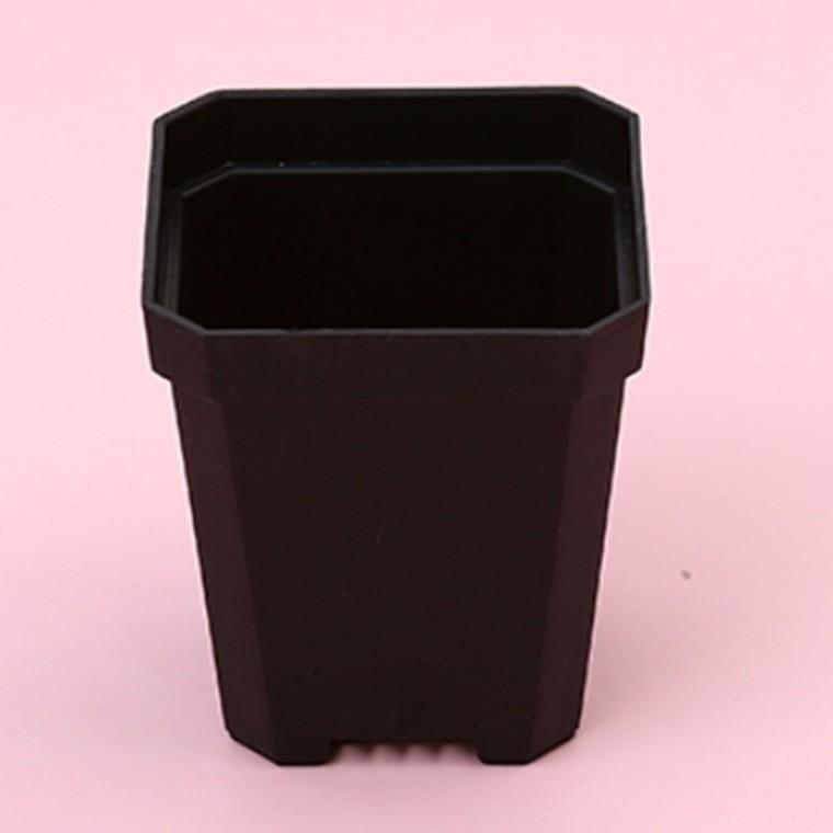 (7x8cm) 플라스틱 실내화분 식물화분 거실화분 베란다화분