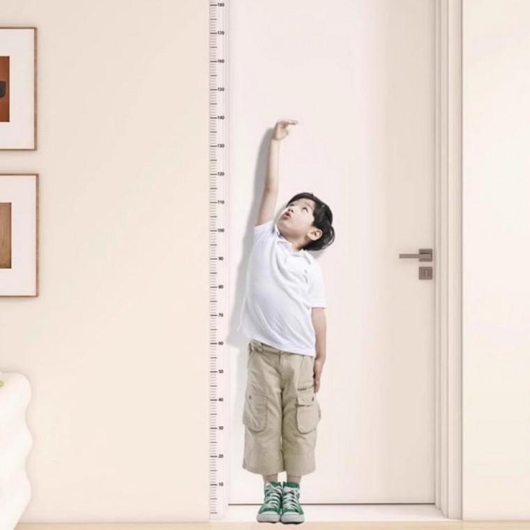 잔솔 키재기 시트지 벽보 벽걸이 아이 아기 자 무타공