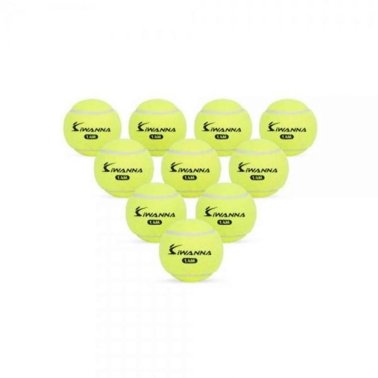 아이워너 연습용 테니스공 1.4M 10개입