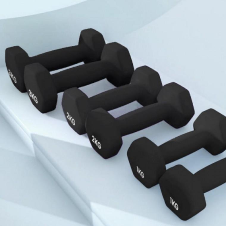 근력 운동 네오프렌 덤벨 육각 아령 2kg 2개 세트