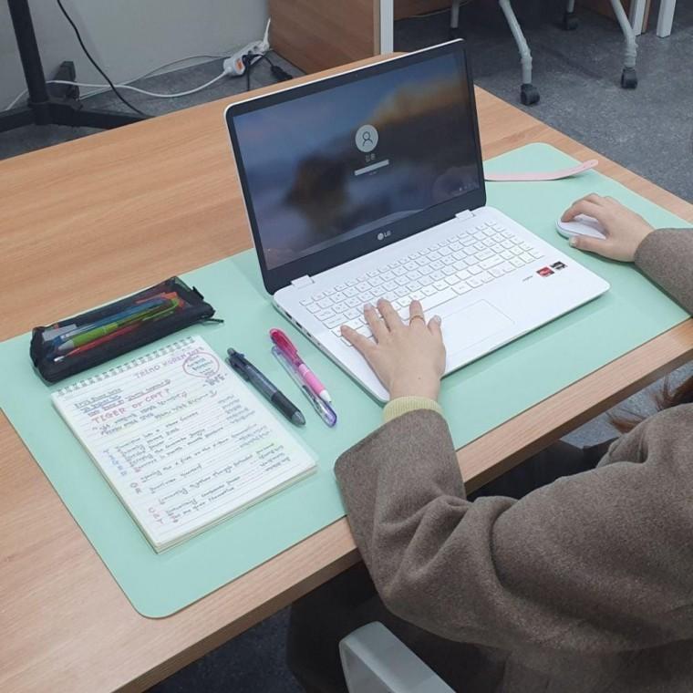 양면 가죽 장패드 데스크 매트 민트 그린 책상 깔개