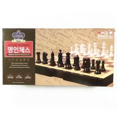 휴대용 자석 중형 체스 교육용 보드게임