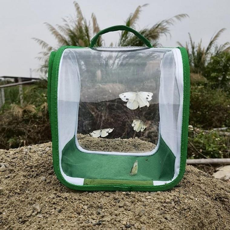 투명 곤충 사육 체집통 잠자리 케이지 사육상자 케이스 나비 곤충 휴대용 소형 방충망 곤총사육 새장