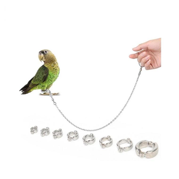 루미나D 앵무새 산책 훈련용 조류 발목링 발찌 가정용 주방용 다용도