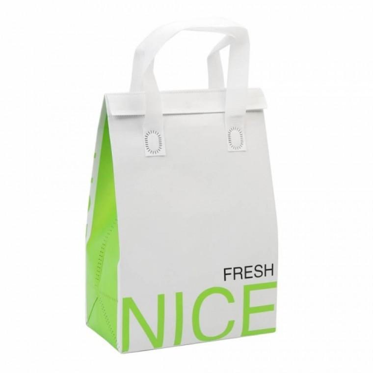 쇼핑백 냉온 피크닉 보냉가방 프레시 아이스백 가방(20cmx29cm) 캠핑 런치백 도시락