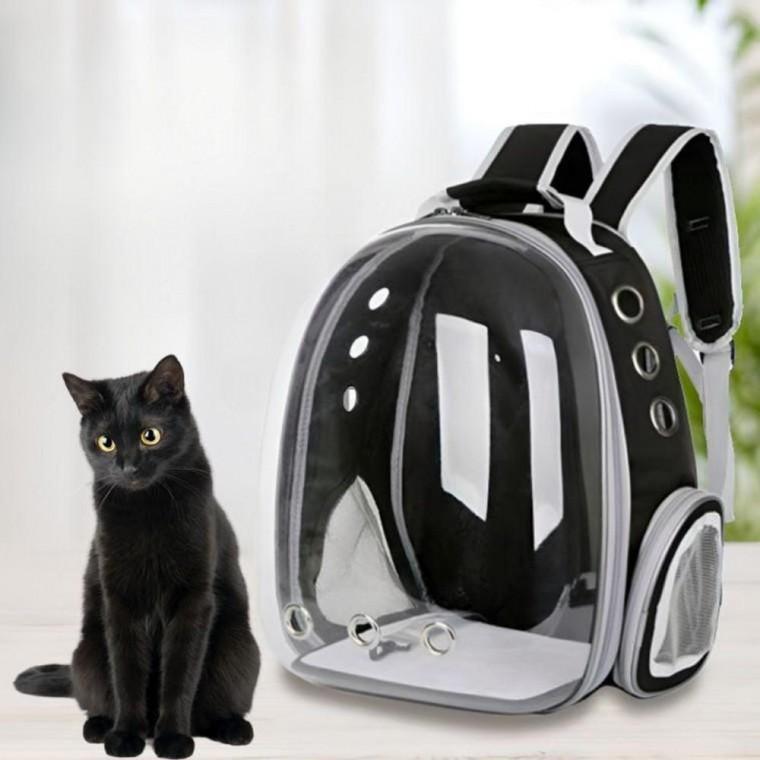 반려동물 투명 백팩 고양이 강아지 외출 이동가방 배낭 투명가방 반려동물가방 이동가방 앞가방 강아지