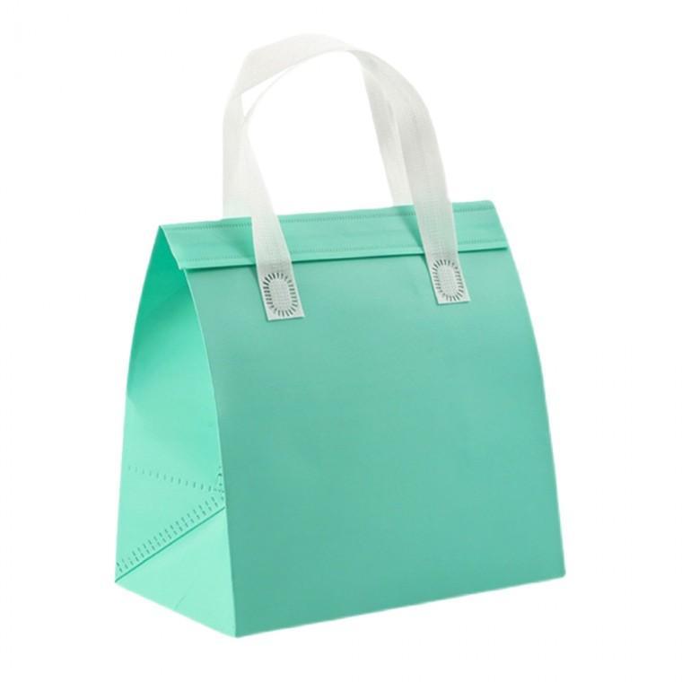 부직포 냉온 보냉백 쇼핑백가방 도시락 민트 피크닉 중27x28x16cm