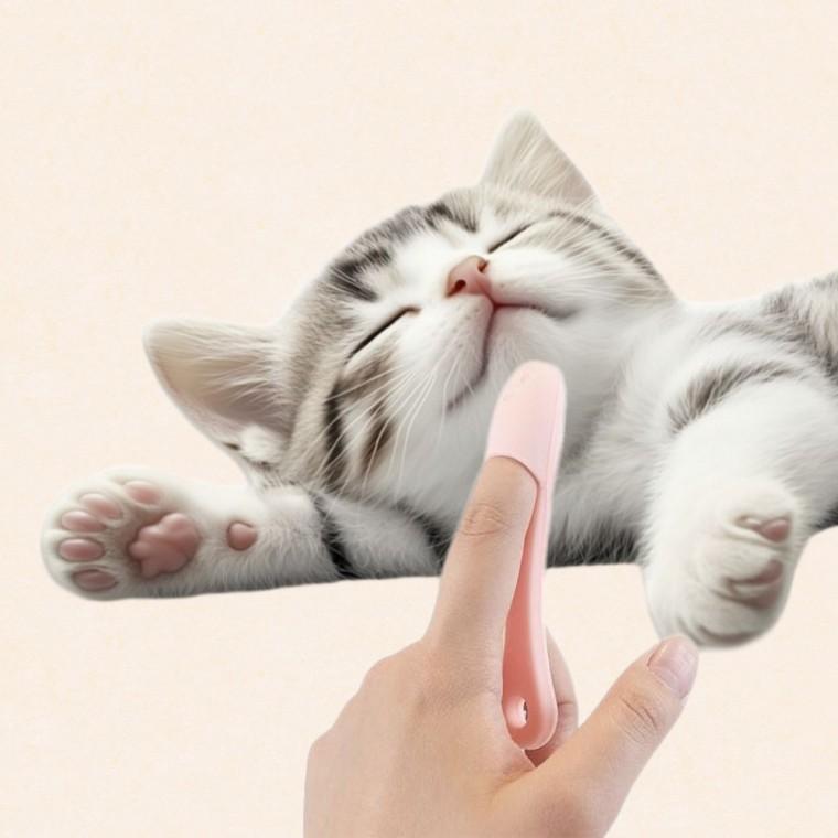 [TR] 고양이 브러쉬 세안