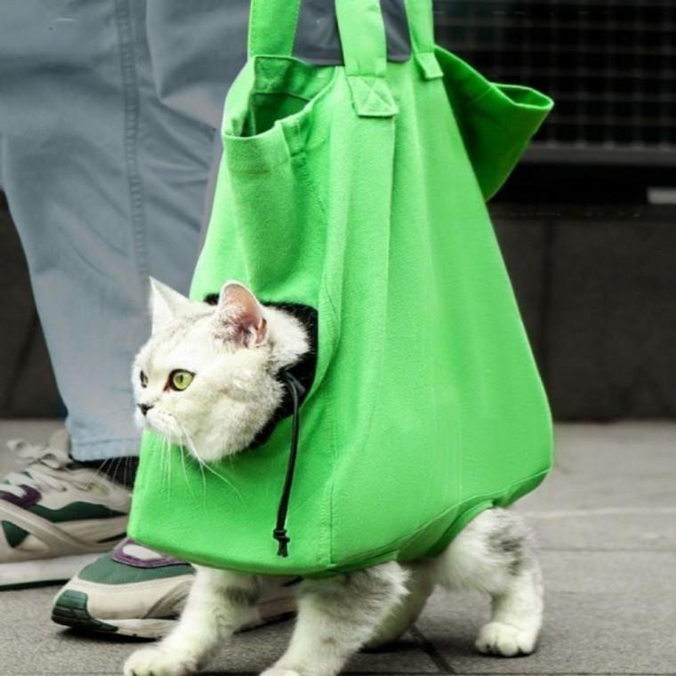 고양이 산책가방 크로스백 애묘백 이동장 반려동물 가방 고양이 애견백 산책 애묘백 크로스백 숄도백