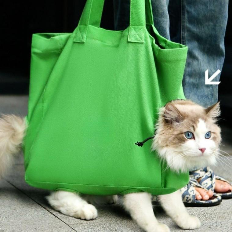 고양이 가방 반려 동물 외출 애묘 소형견 이동 고양이이 동장 용품 펫가방 애견 견가방