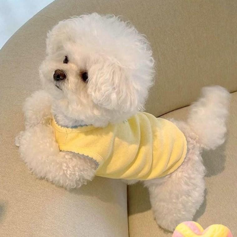 파스텔 1P 가벼온 강아지 리본 민소매 실내복 나시티