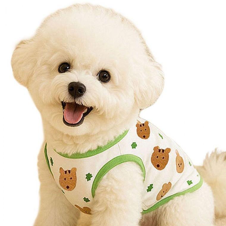 강아지일상의상 반려동물 티셔츠 패턴 곰돌이 민소매