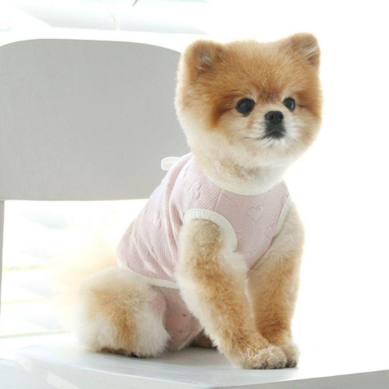 사계절조끼 강아지 나시 1P 누빔 핑크 데일리 S 에어메쉬 조끼