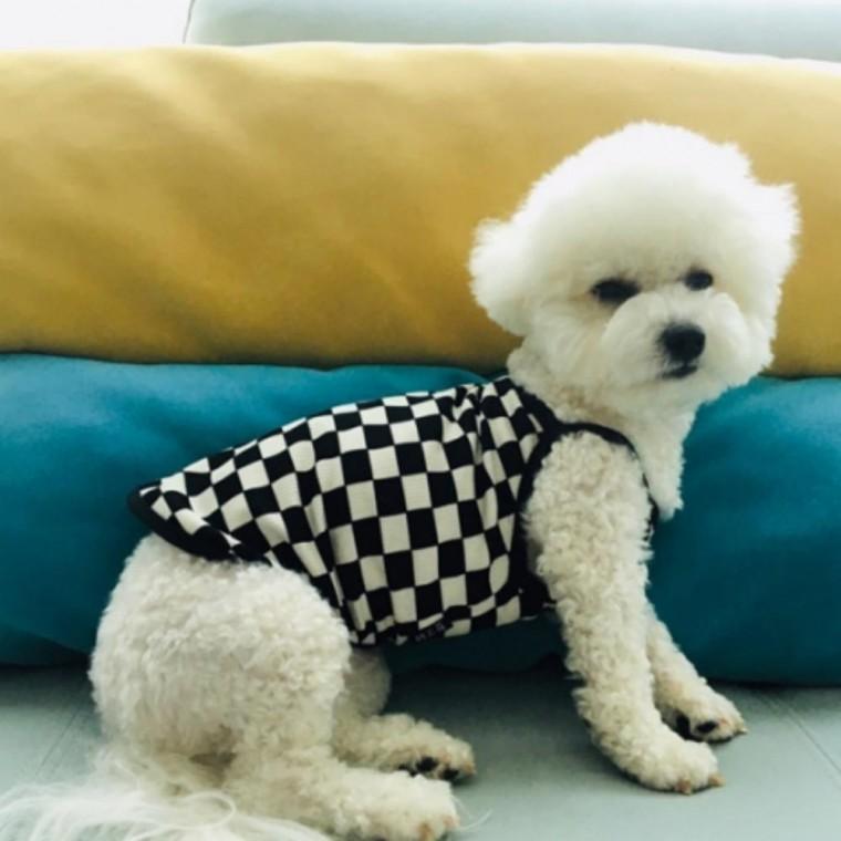 체크 끈나시 민소매 반려견 옷 애견 강아지 강아지옷