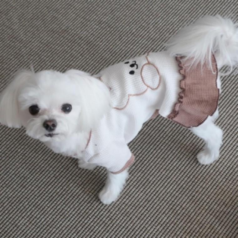 곰돌이 와플 티셔츠 스커트 반려견옷 강아지 강아지옷