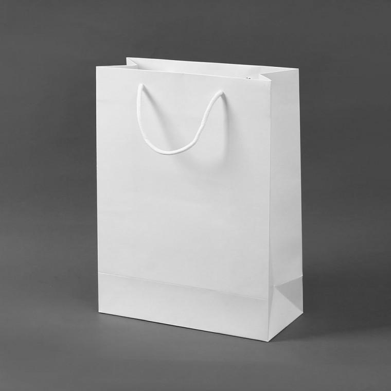 무지 세로형 쇼핑백 10p(25x33cm) (화이트) 종이백