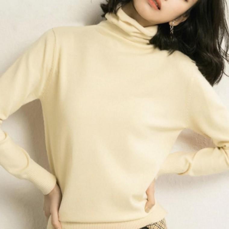 폴라티 티셔츠 여성 목티 목폴라 터틀넥 니트