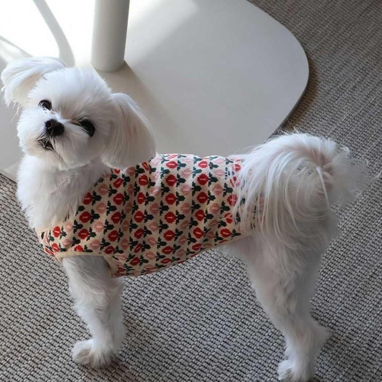 강아지 따뜻한 보온 패턴 가을 겨울 조끼 자켓 의류