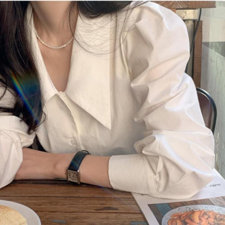 여성 빅카라 셔츠 오피스룩 퍼프소매 봄가을 셔츠