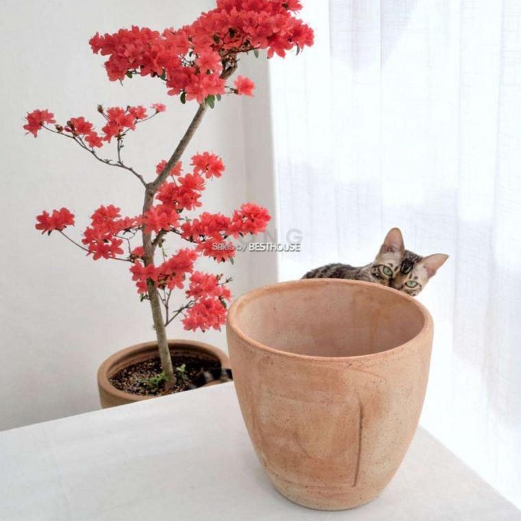 수제 토분 원형 28x28cm 클래식화분 거실화분 빈티지화분 몬스테라화분 테라스화분