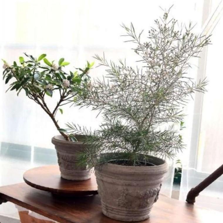 수제토분 그레이 20x16cm 분갈이 화분 디자인화분 예쁜화분 흙화분